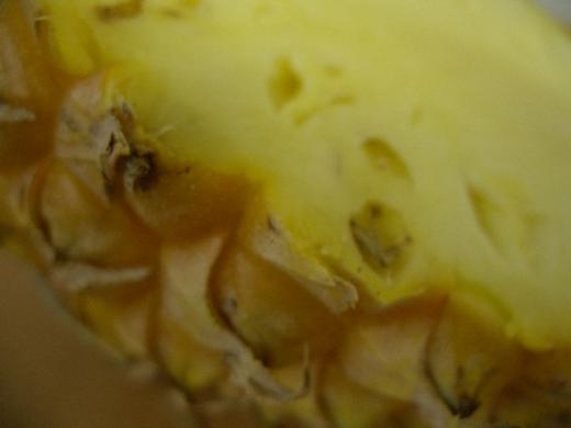 パイナップル好きにはたまりません!/