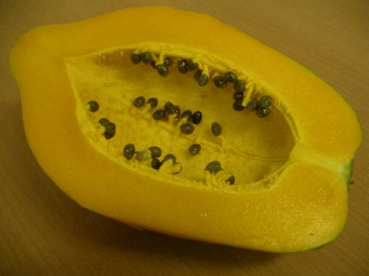 トロピカルな断面/