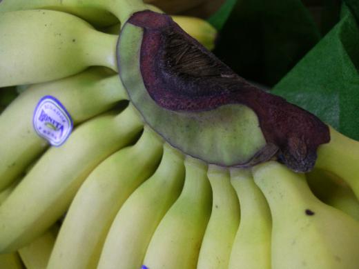 ヘタの部分です。/