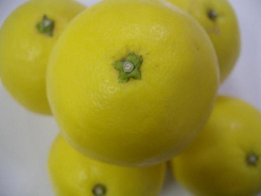 小夏ちゃんの頭のてっぺんです!/