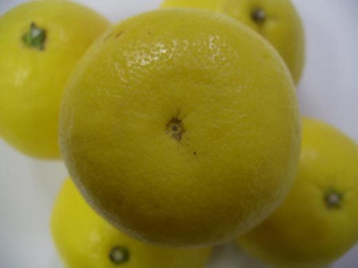 小夏ちゃんのおしりです!/