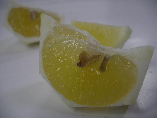 とっても甘くてジューシーな果肉です。/