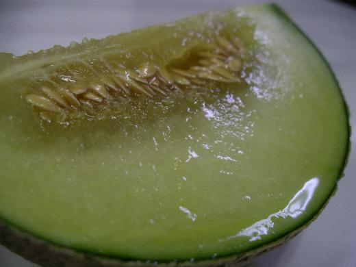 アンデスメロン?/