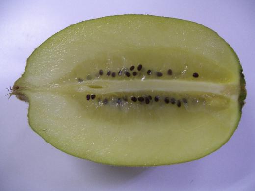 果肉の断面は、メロンのような透明イエローです。/