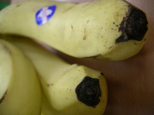 台湾バナナのおしりの部分です。/