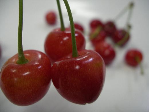 少しでも早く美味しい「山形さくらんぼ」をリーズナブルに味わいたい/