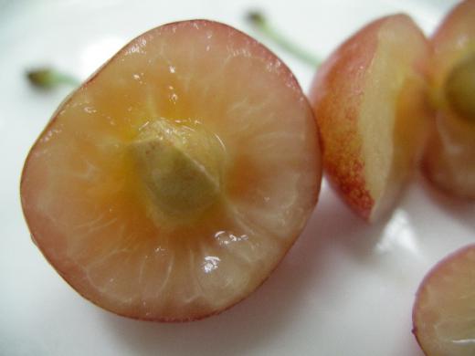 山形さくらんぼ「佐藤錦」の実の瑞々しさ・・・/