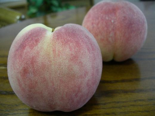 暑い夏に収穫される桃に負けない甘味/