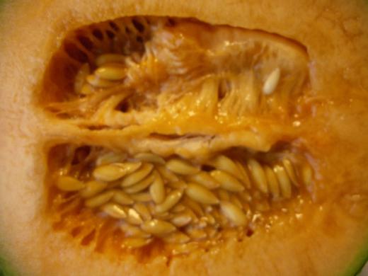 クインシーメロンのオレンジ色はカロテンです。/