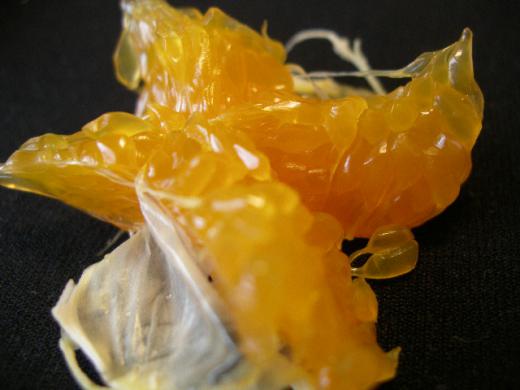 みかんは、天然の栄養素が豊富です!/