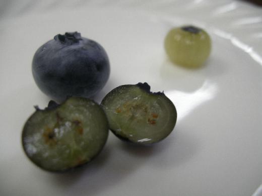 生食用のブルーベリーのお味は?/