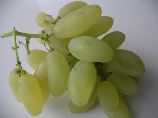 涙の雫のような形をしています/