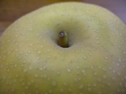 幸水のあたまのてっぺんです。/