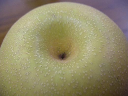 幸水のおしりです。/