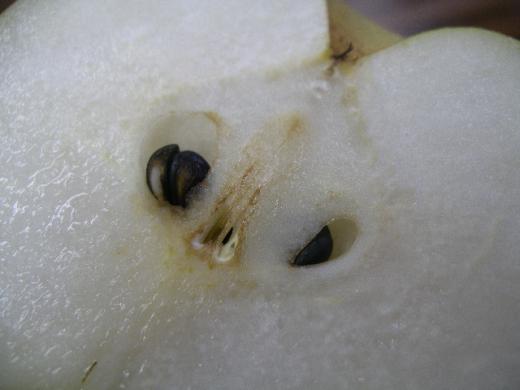 甘さと香りがよく肉質はやわらかめ!/