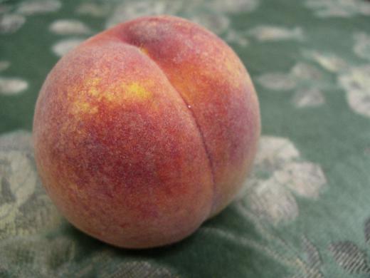 初秋に旬を迎える珍しい桃/