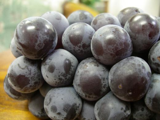 はちみつのような甘みを楽しめます。/