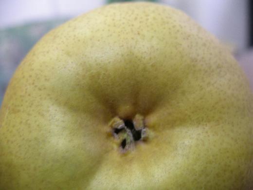 オーロラのおしりです。/