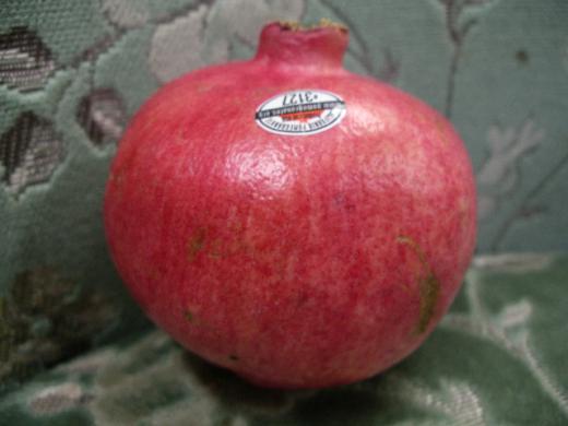 はちきれるように丸く、先が尖って広がった冠をつけています。 /