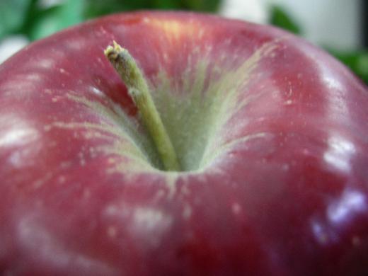 紅玉の頭のてっぺんです。/