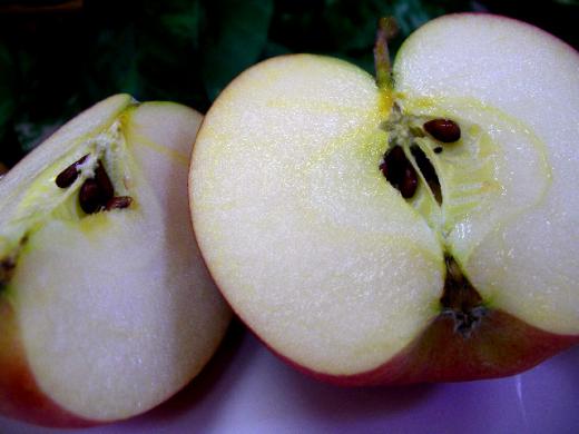 芳香があり菓子などへの加工用途に活躍!/