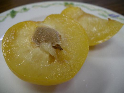 有機栽培と栽培者履歴で安心フルーツを・・/