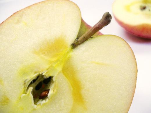 蜂蜜のような林檎の蜜がたっぷり/