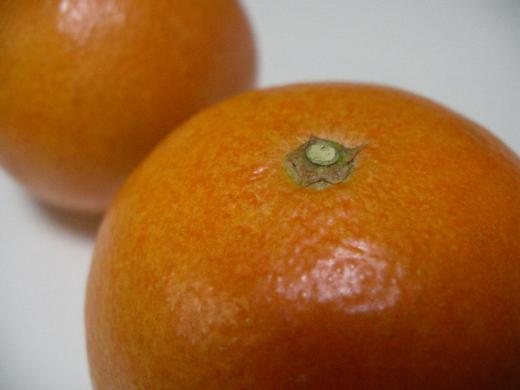 天草の【元祖】と言えるほどの品質です!/