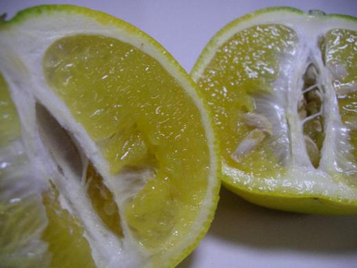 一房ごとジューシーな果肉を味わえます。/