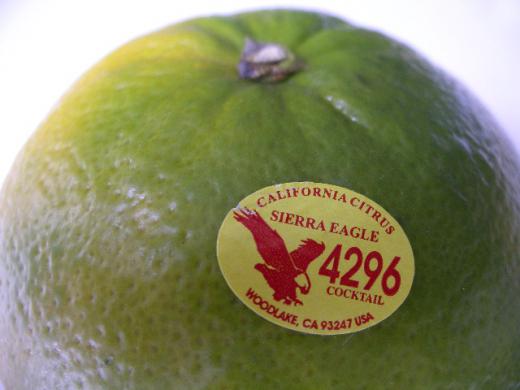 カリフォルニア産《カクテルグレープフルーツ》シトラス/