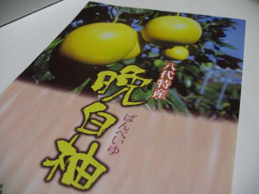 「美しき生涯」を植物研究に燃焼させた人物???/