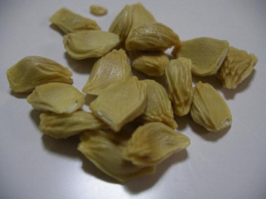 晩白柚(ばんぺいゆ/バンペイユ)の種です。。/