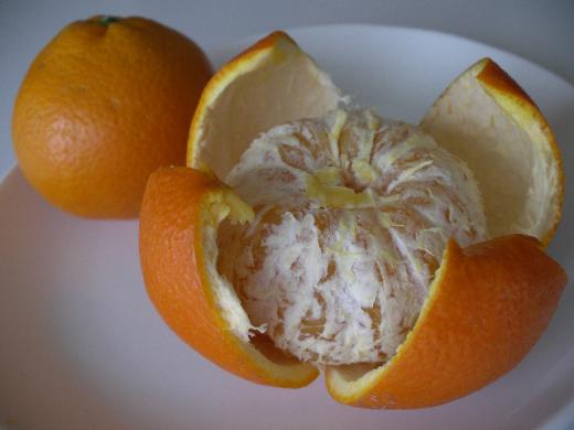 やはり本場の伊予柑ですね〜!/