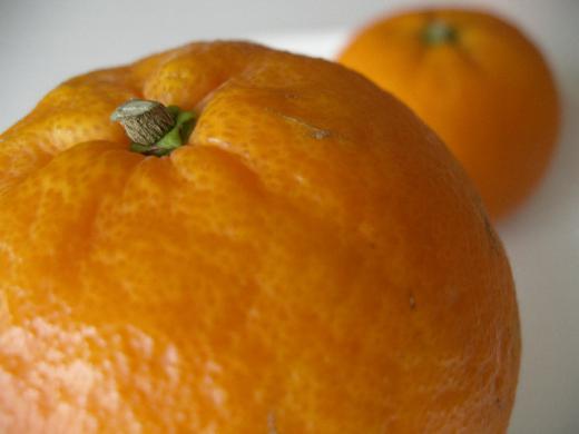 何と「みかん」の約2倍のビタミンC〜/