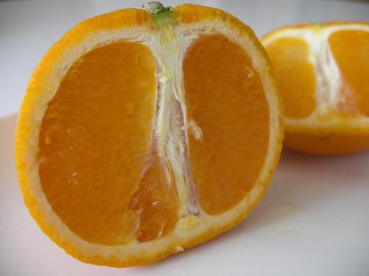 「たんかん」の生産量は鹿児島県が日本一?!/