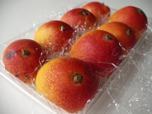 宮崎県産《完熟ミニマンゴー》小さくても濃厚な味/