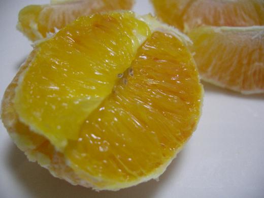 タロッコの人気の秘訣はその美味しさだけにとどまりません/