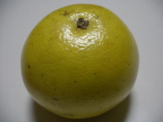 果汁がしたたり落ちるほどジューシー!!/