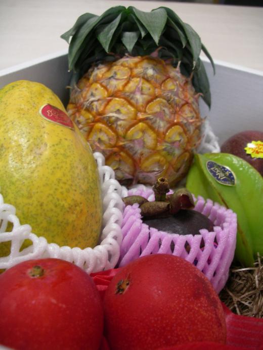 フルッティア厳選《トロピカル》南国フルーツ6種類の夢の競演です!/