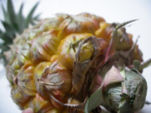 スナックパインのおしりです。/