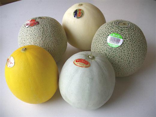 メロン食べ比べbox/melon5種類〜夢の競演/