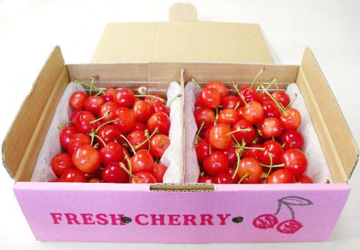 紅秀峰(べにしゅうほう)は、佐藤錦にせまる人気!/