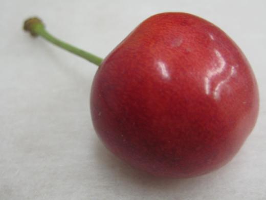 堂々としています/