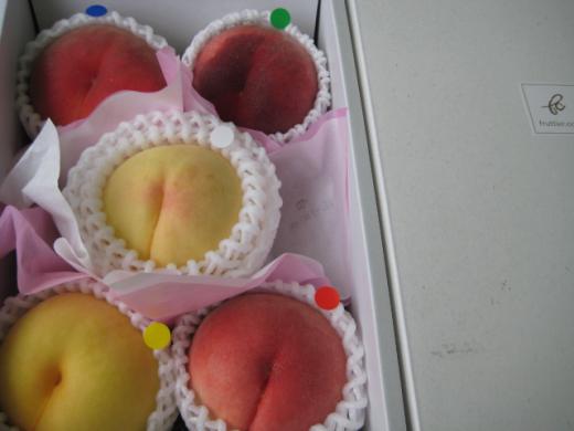 迫力満点の勢揃い/