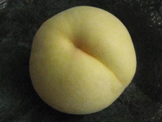 高橋農園さんの有袋の黄金桃/