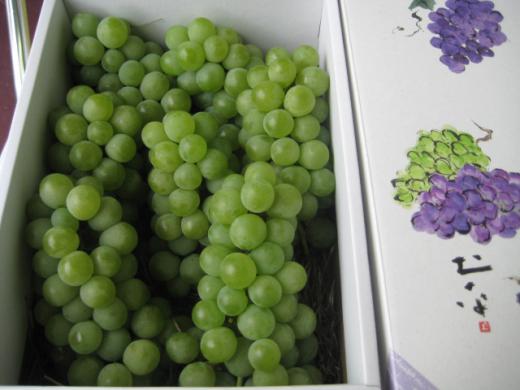 山形県産《ナイヤガラ》2kg化粧箱入/