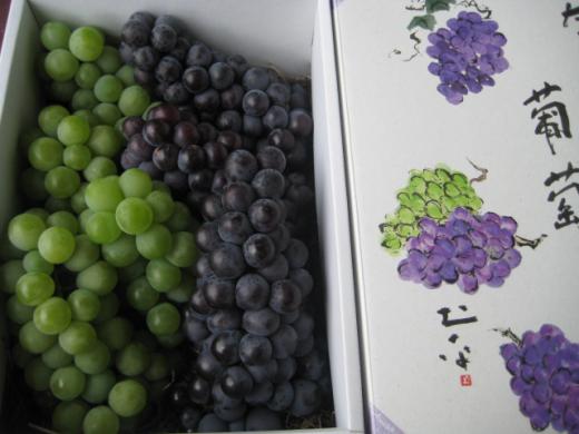 山形県産《ナイヤガラ&スチューベン》2kg化粧箱入/