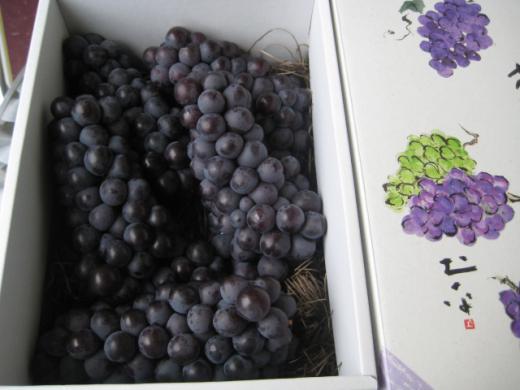 山形県産《スチューベン》2kg化粧箱入/