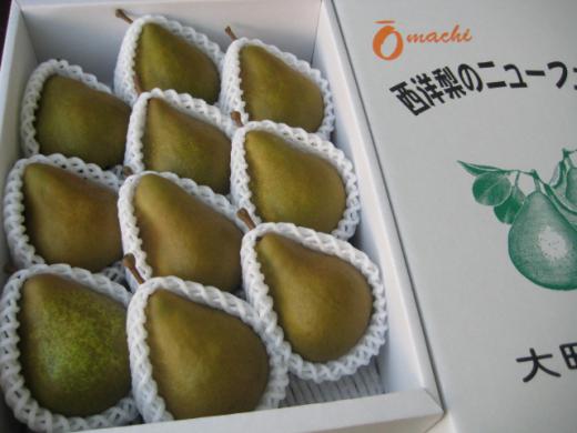 山形県天童産《オーロラ》3kg大玉10個入/