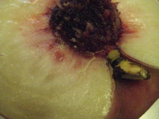 西遊記より その名が、/